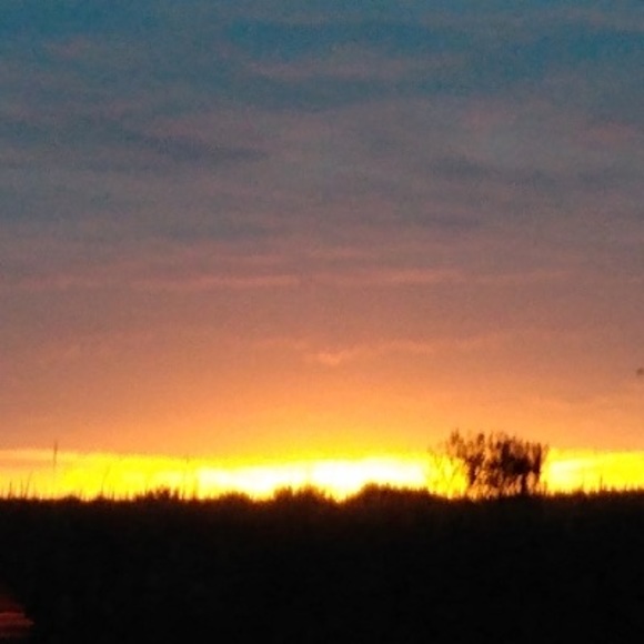 Meet your Posher, Rya - Picture 1 of 1